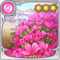 花咲く家で育って s.png